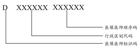 医保医师编码结构