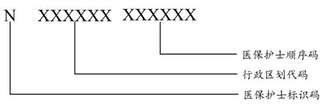 图3 医保护士编码结构