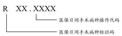 图10 医保日间手术病种编码结构