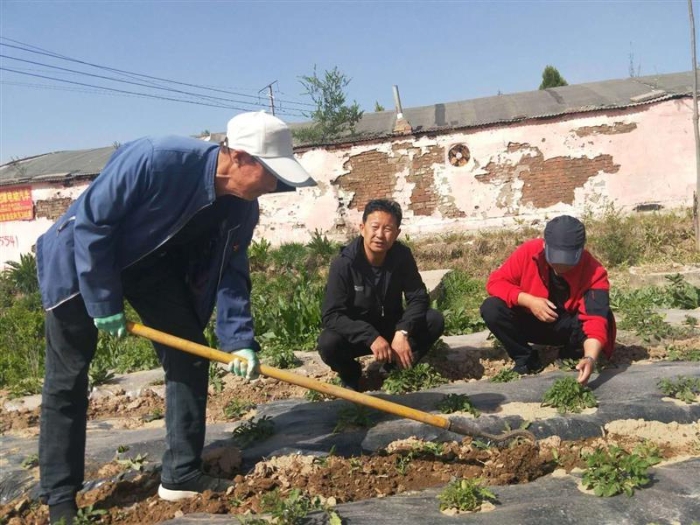 驻村第一书记顾海波了解村民产业种植情况。