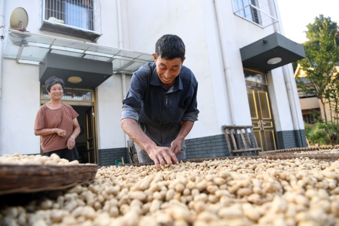 安徽省金寨县大湾村村民在自家新房前晾晒花生（2019年9月3日摄）。新华社记者 鲍菲菲 摄