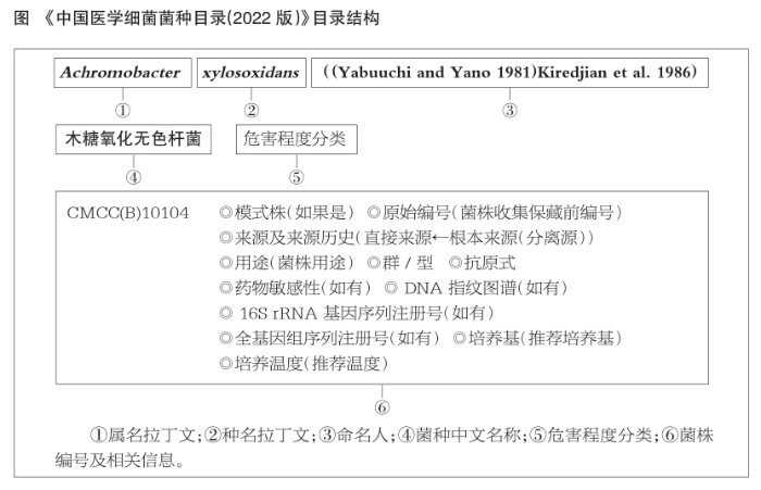 目录结构